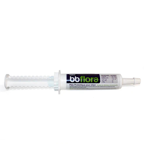 Baci+ - bb flora pâte pré et probiotiques
