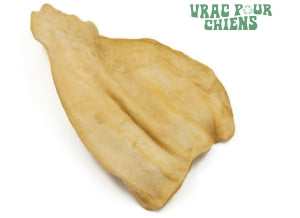 VPC - Oreille de buffle petite