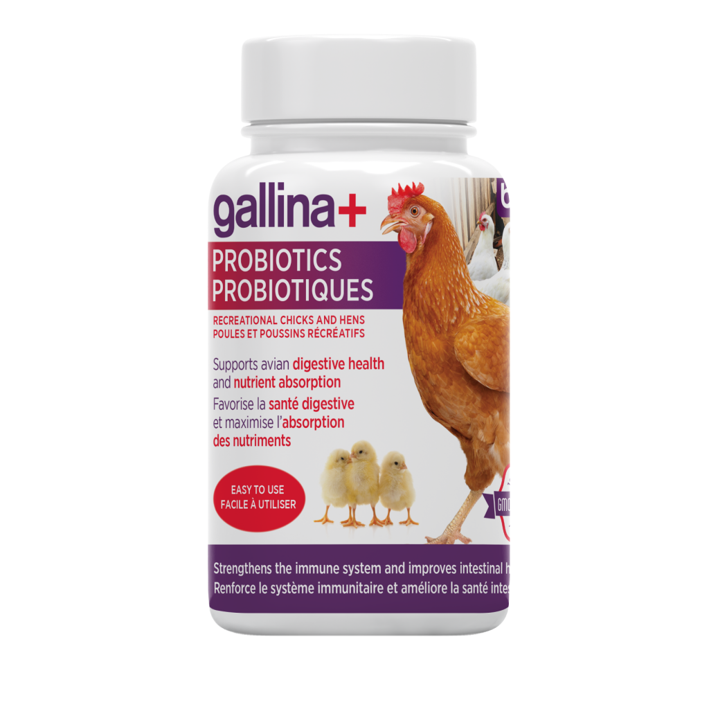 Baci+ - Gallina+ probiotiques poules et poussins