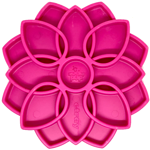Plateau mandala