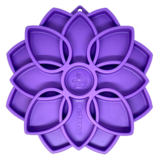 Plateau mandala