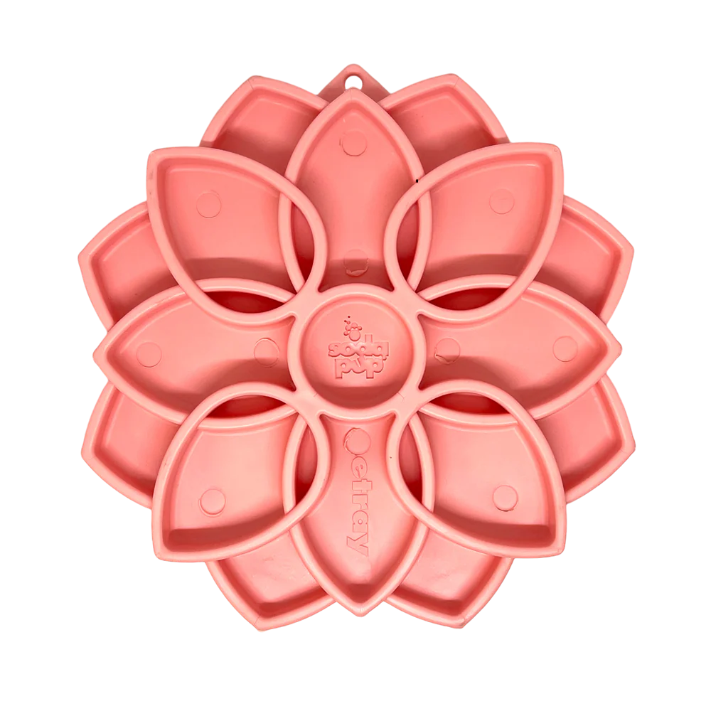 Sodapup - Mandala softie avec ventouses