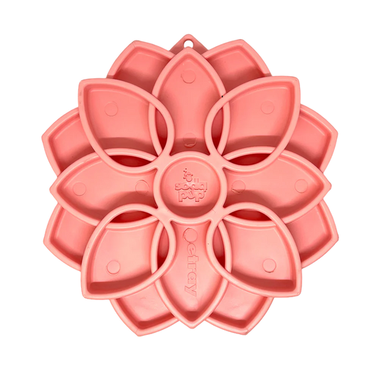 Sodapup - Mandala softie avec ventouses