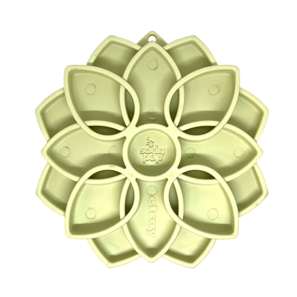Sodapup - Mandala softie avec ventouses