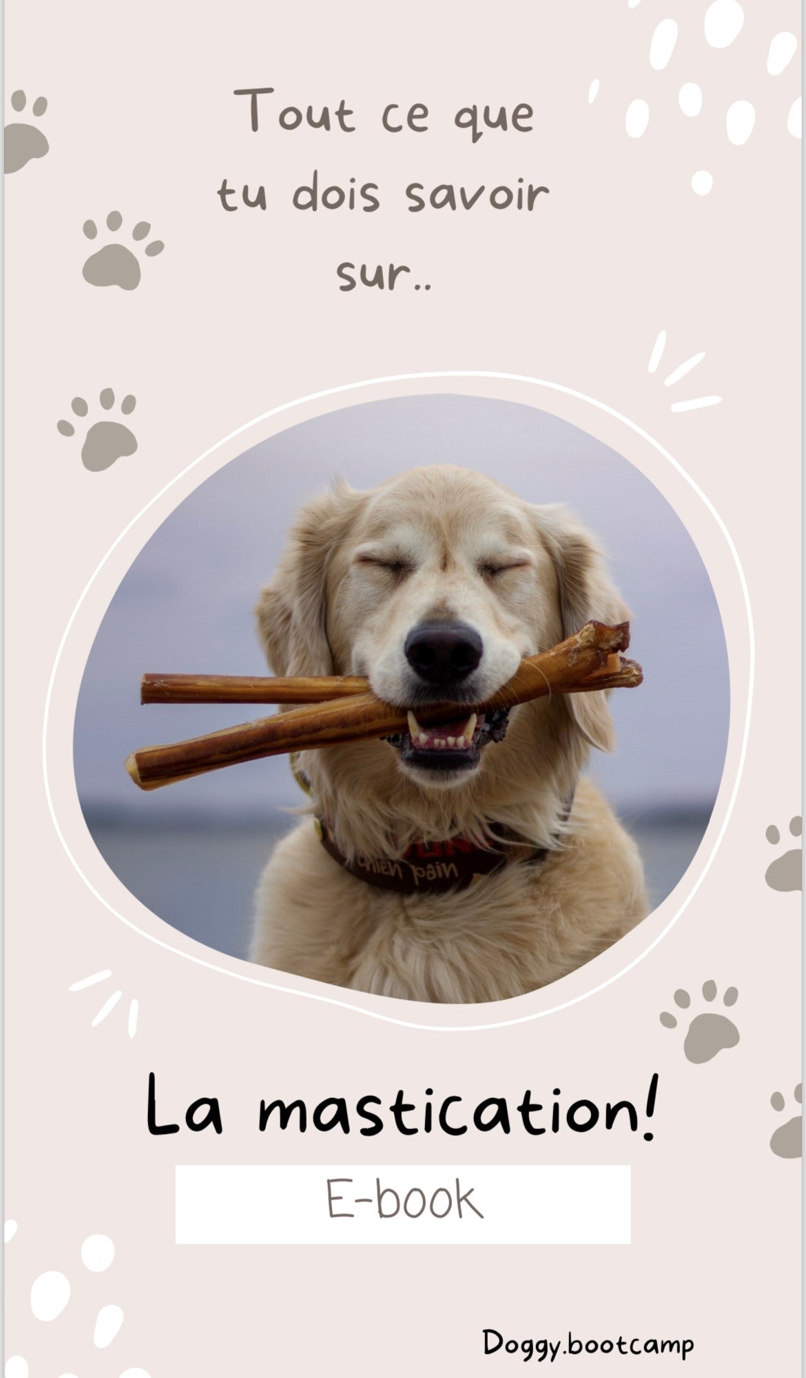 Doggybootcamp ebook - La mastication