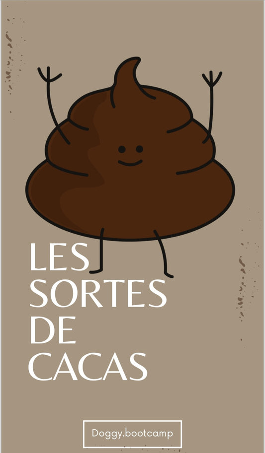 Doggybootcamp ebook - Les sortes de cacas