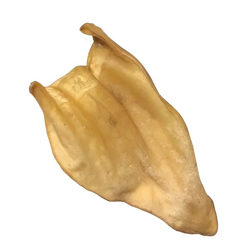 QTdog - Oreilles de buffle d'eau