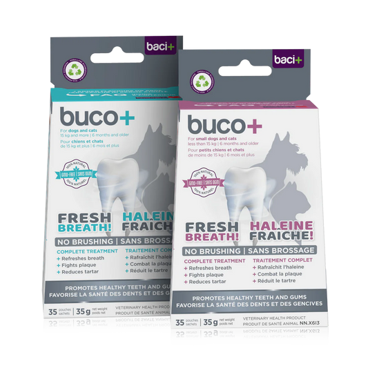 Buco + soins dentaires chiens et chats