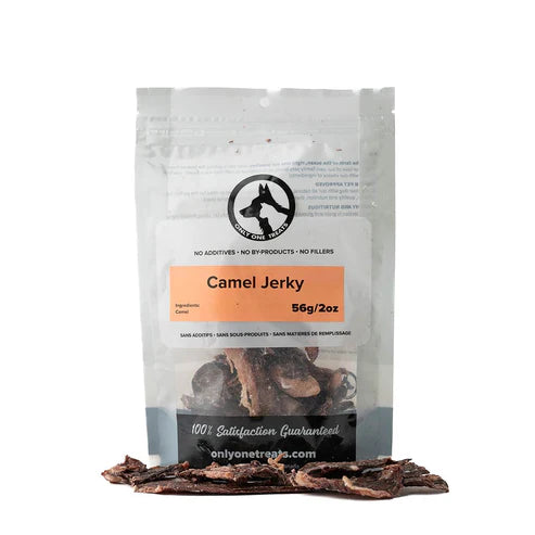 OOT- Jerky de chameau