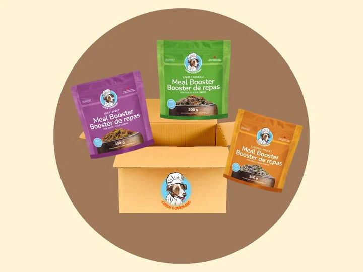 Chien gourmand - Crée ta boîte de 8 boosters