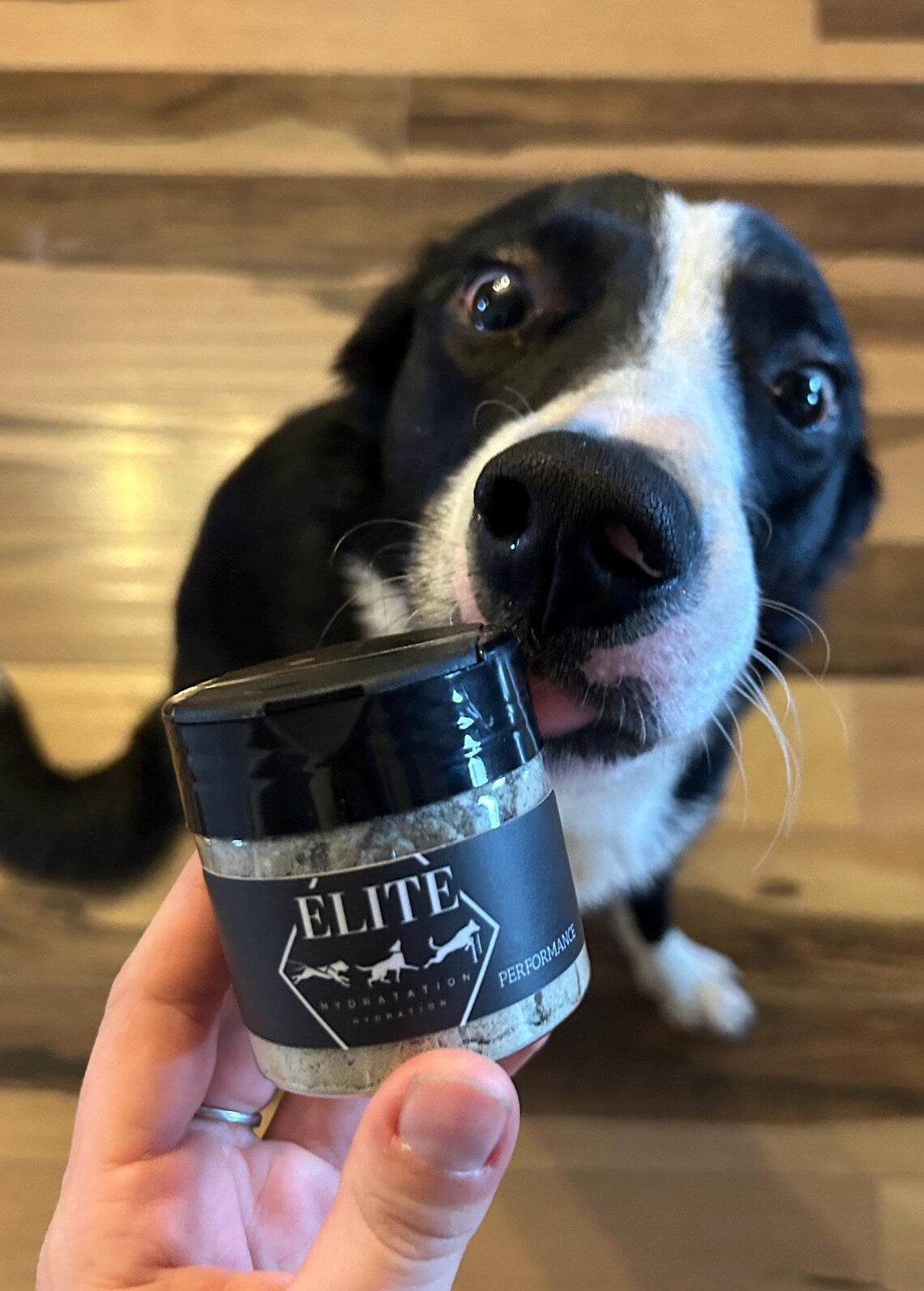Elite hydratation