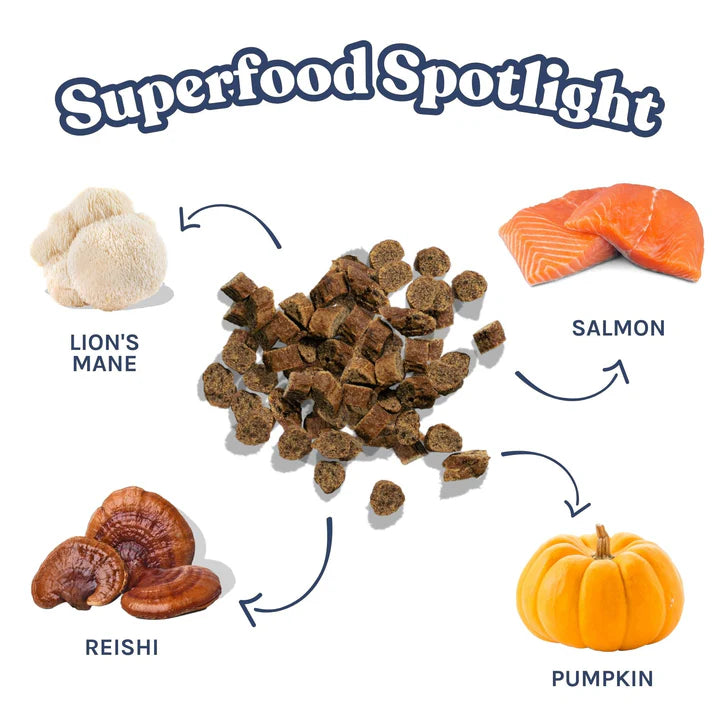 healthybud - Mini gâteries entrainement au saumon