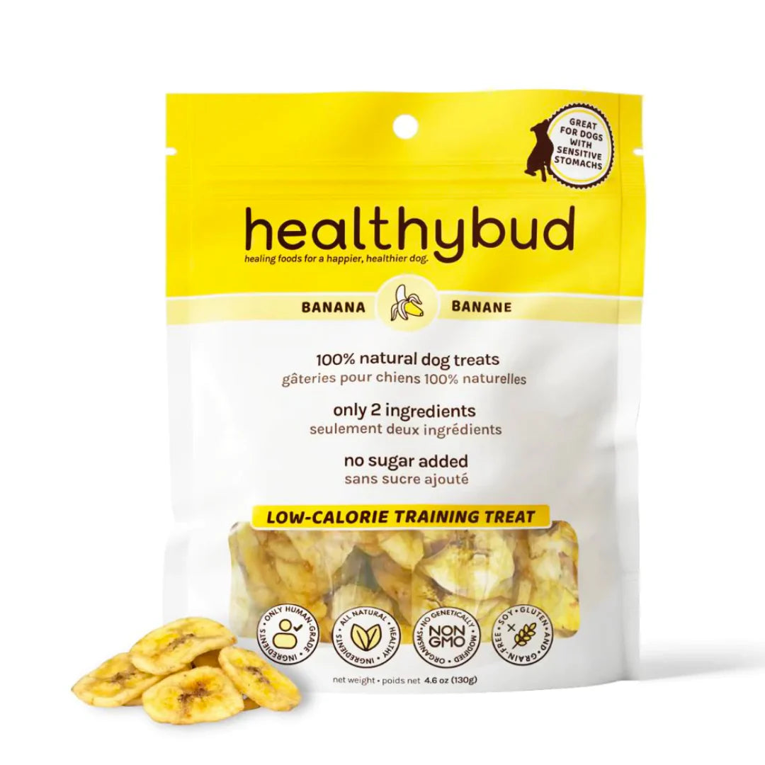 Healthybud - Chips de banane